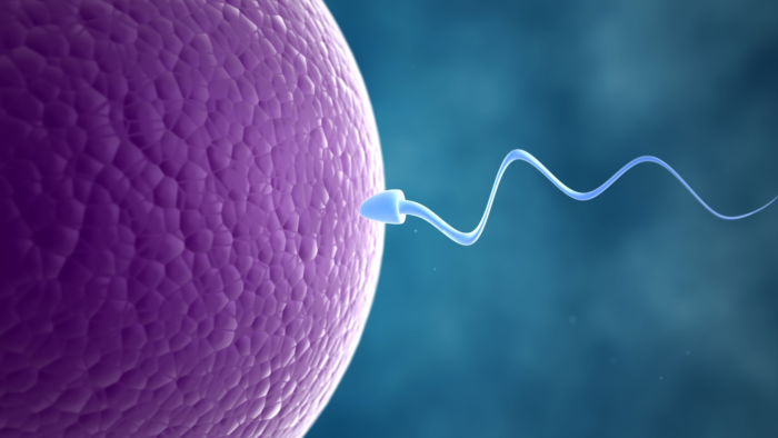 Infertility Management in Mathura