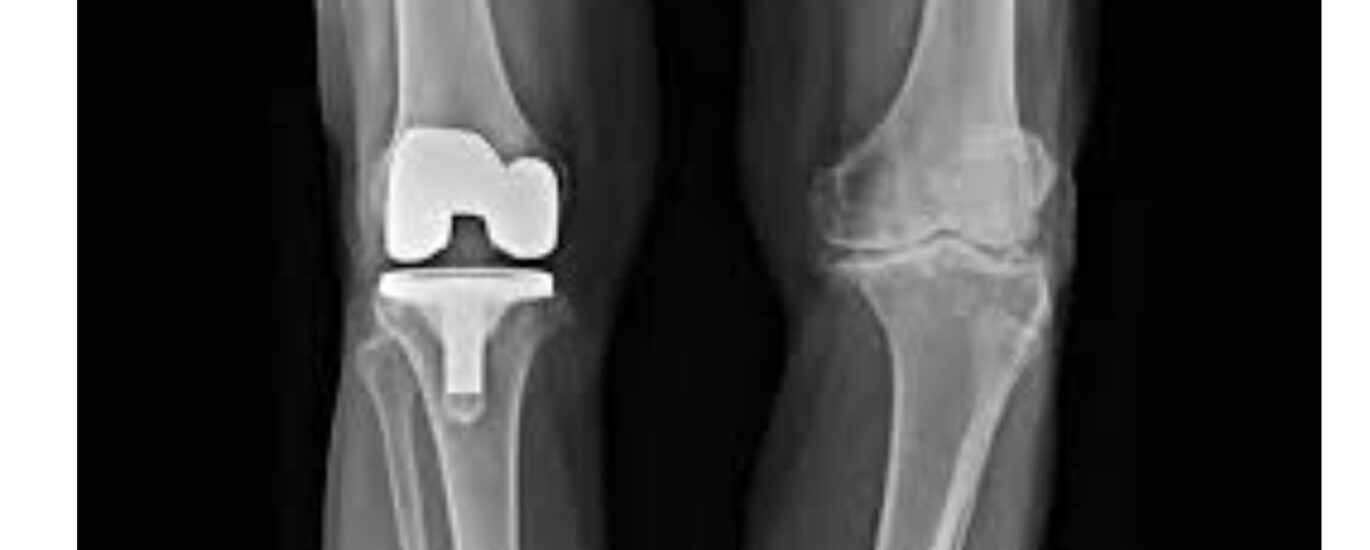 Untitled design (21)