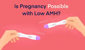Low AMH level treatment in Mathura 
