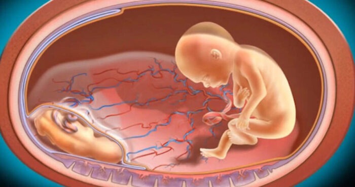 Antenatal care in Mathura 
